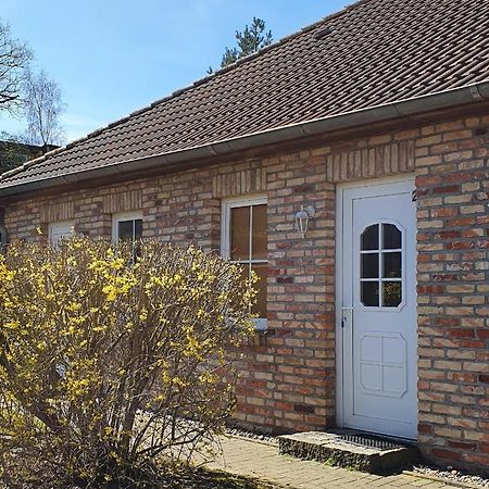 Ferienwohnungen Ruegen-Glueck Lohme Dış mekan fotoğraf